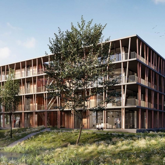Bosbad – Eindhoven